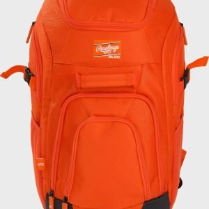 Franchise 2 Player's Baseball Backpack